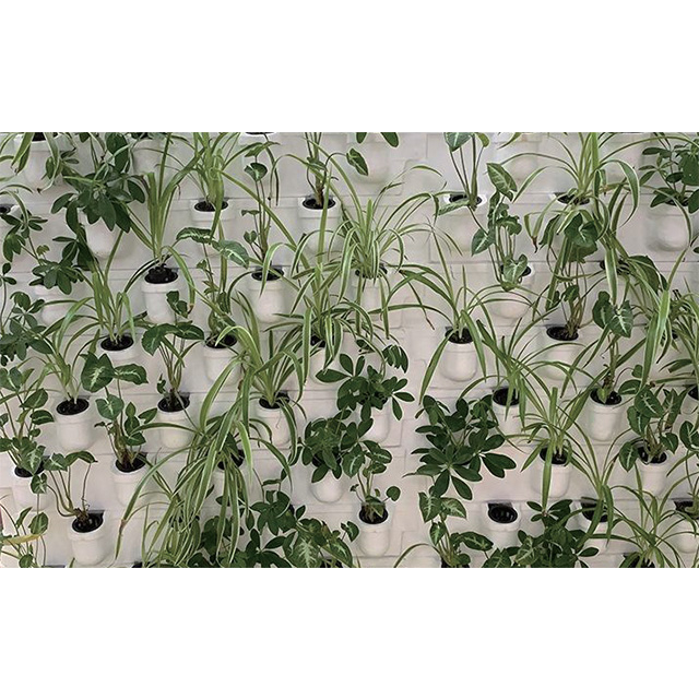 Hydroponics odlingssystem GT230163
