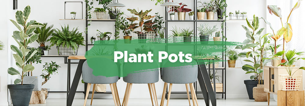 Plant pots