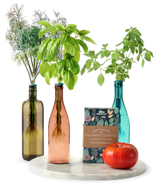 Indoor Garden Kitchen Windowsill Bottle Stopper Planter Kit Bottle