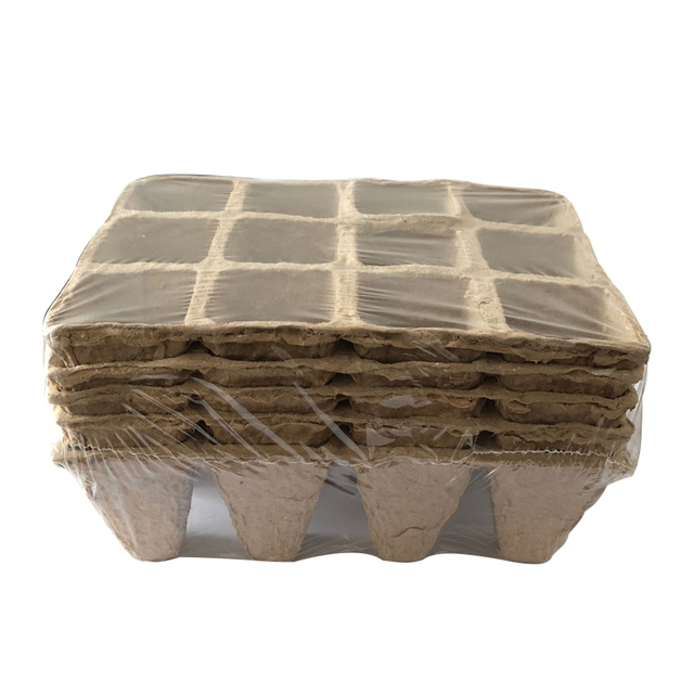 Organic Biodegradable Pea Pots Starter Kit GT23011