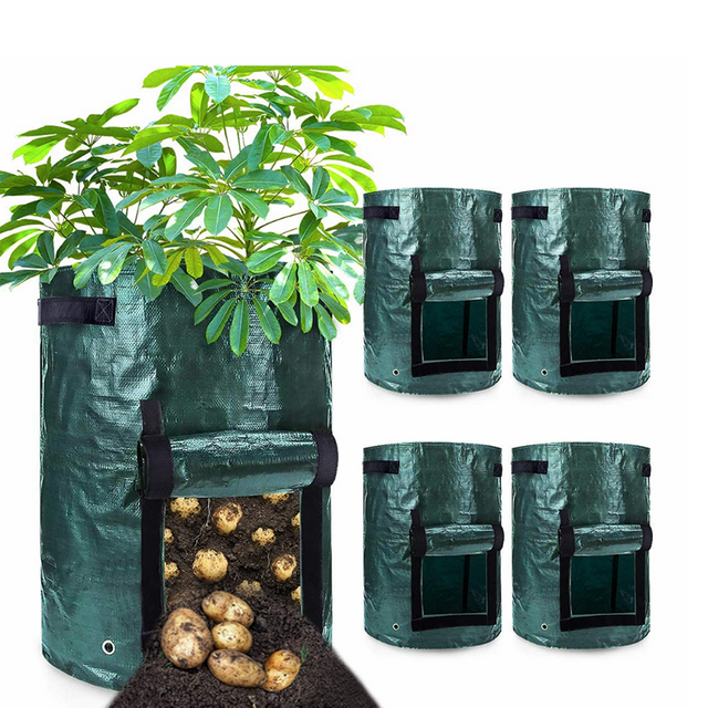 Potato Grow Bags GT15007