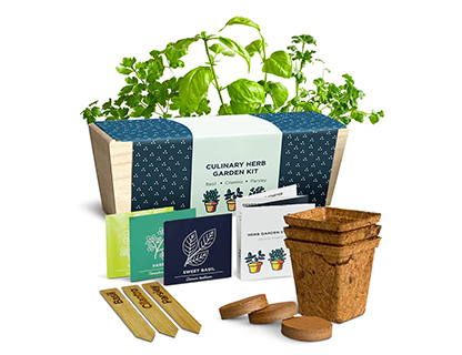 Label-&Manual-Design