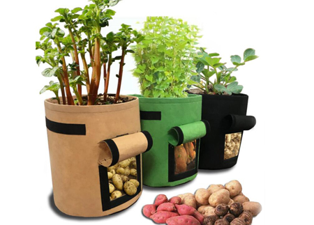 grow bag