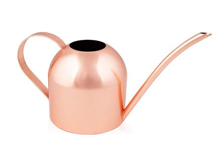 lattina d'acqua