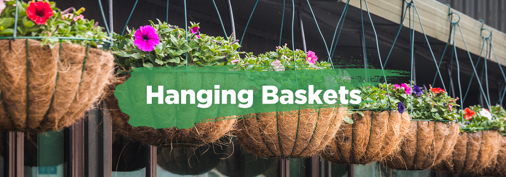 hanging baskets